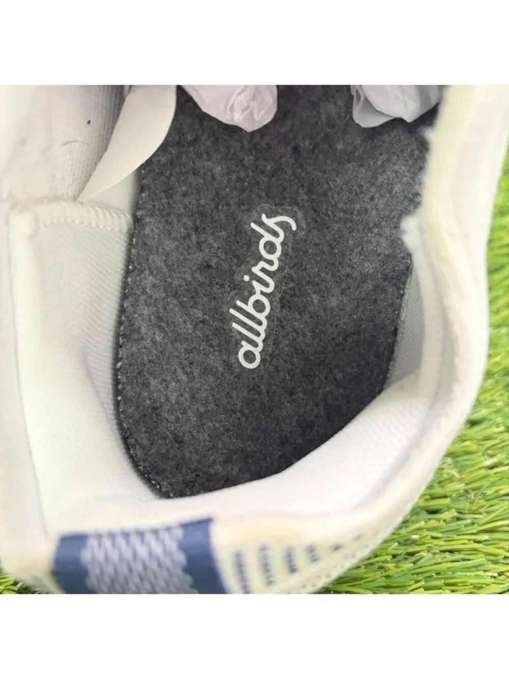allbirds please review